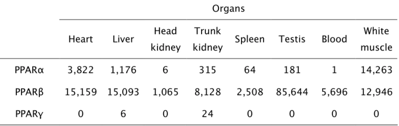 Table 2 - Relative expression levels of PPAR genes in S. trutta organs by real-time RT-PCR 