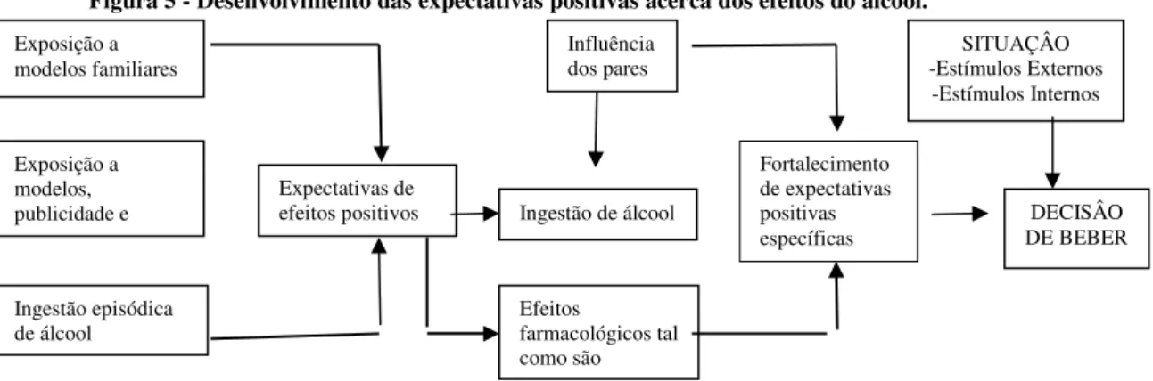 Figura 5 - Desenvolvimento das expectativas positivas acerca dos efeitos do álcool. 