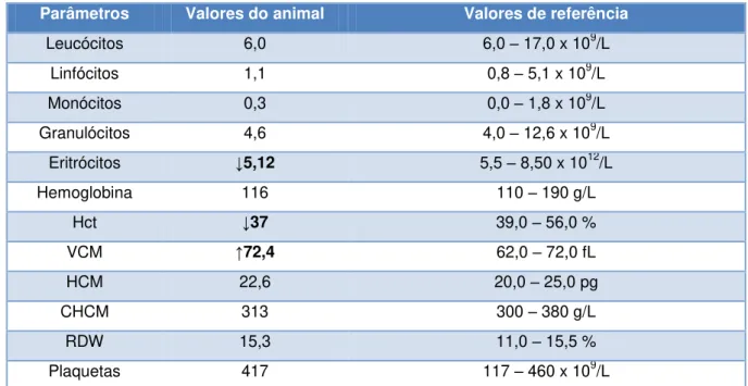 Tabela 8  –  Hemograma completo da Nina 