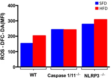 Figura  11:  Geração de espécies reativas de oxigênio (ROS) em células peritoneais de animais selvagens  (WT),  Caspase  1/11 -/-   e  NLRP3 -/-   submetidos  à  dieta  normolipídica  (SFD)  ou  hiperlipídica  (HFD)  por  3  meses