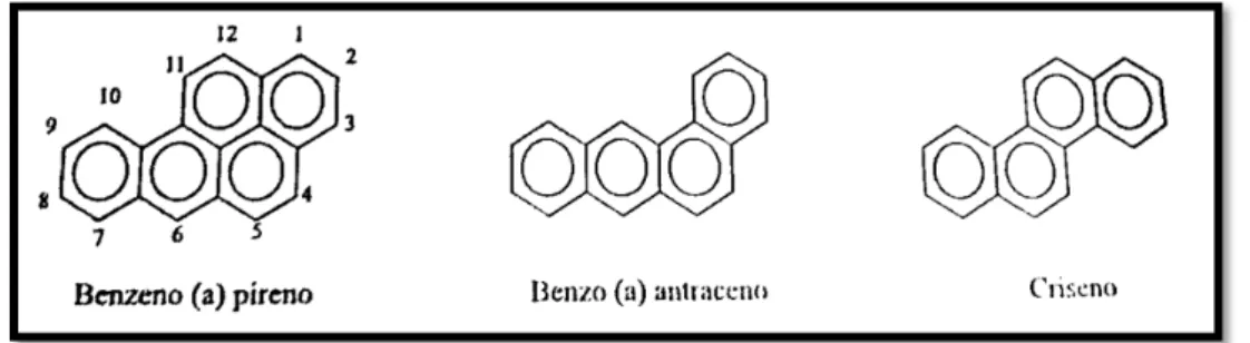 Figura 7:  Hidrocarbonetos aromáticos policíclicos (HAP) 