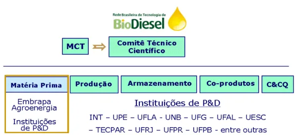 Figura 5. Estrutura da Rede Brasileira de Tecnologia de Biodiesel (MENEZES et al.,  2010)