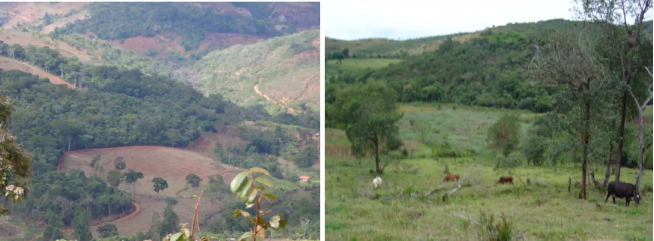 Fig.  4.5  e  4.6:  Desmatamento  e  campos  de  pastagens  nas  imediações  do  Povoado  de  Tabuleiro