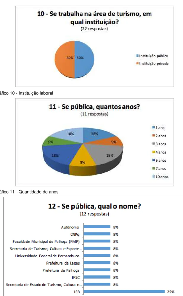 Gráfico 10 - Instituição laboral 