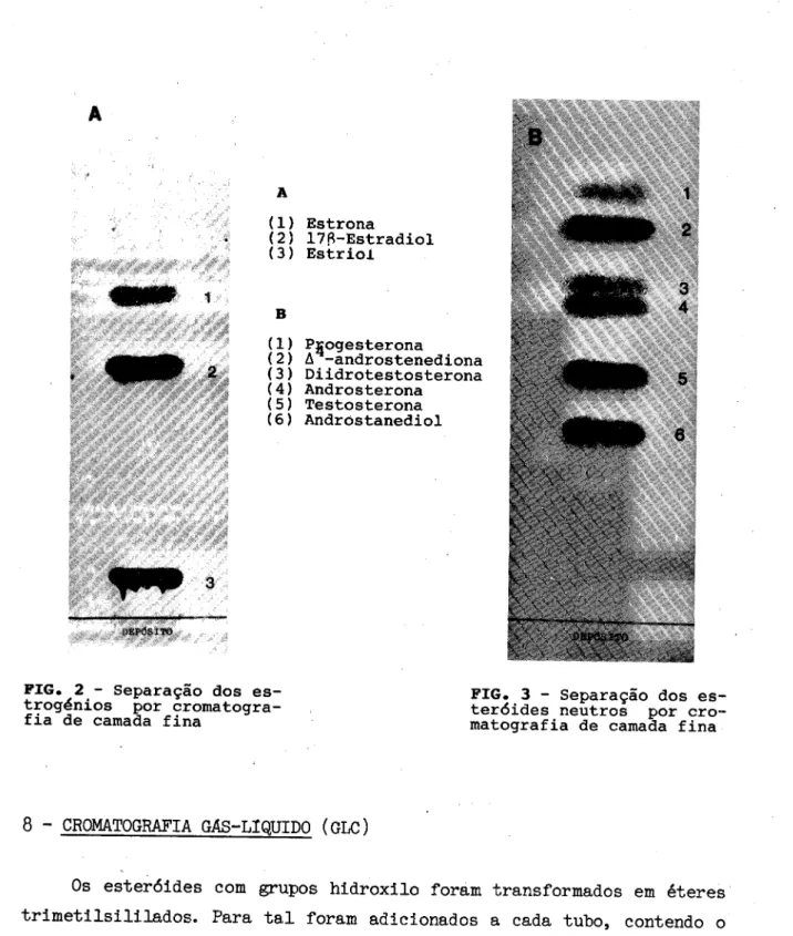 FIG. 2 ­  Separação dos es­