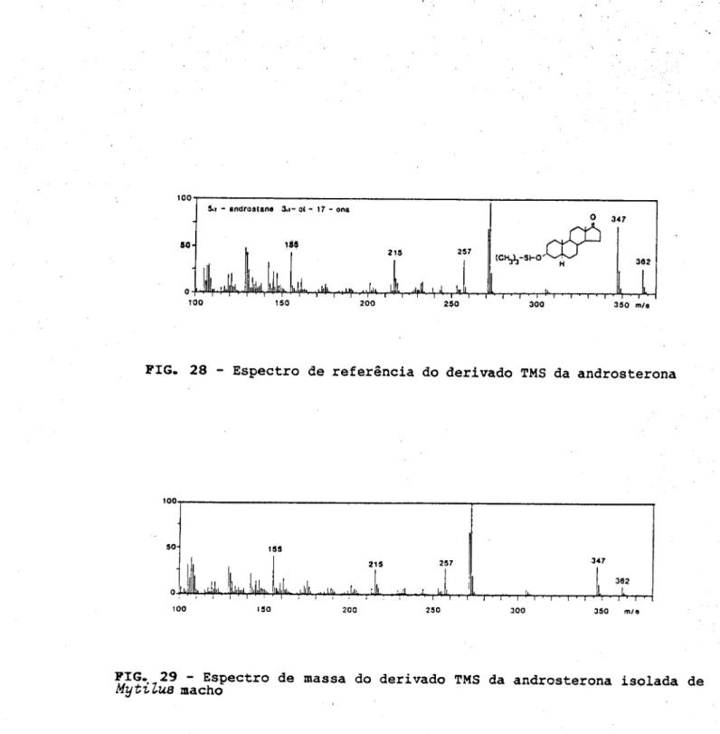 FIG. 28 - Espectro de referência do derivado TMS da androsterona