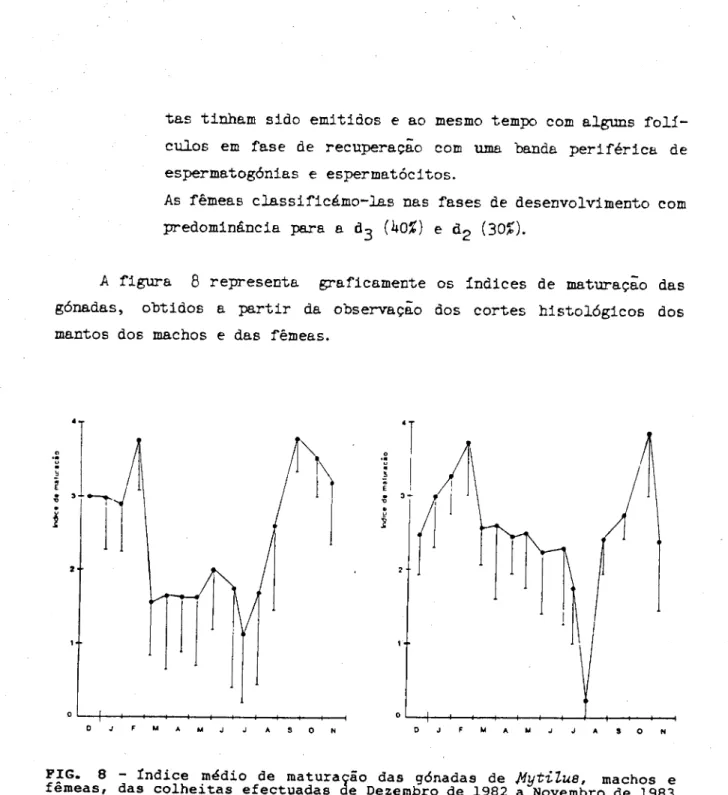 FIG. 8 - Índice médio de maturação das gónadas de  íiytiluB,  machos e  fêmeas, das colheitas efectuadas de Dezembro de 1982 a Novembro de 1983 
