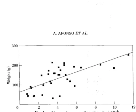 Fig. 8. Correlation between peritoneal total cell number and size of rainbow trout. 