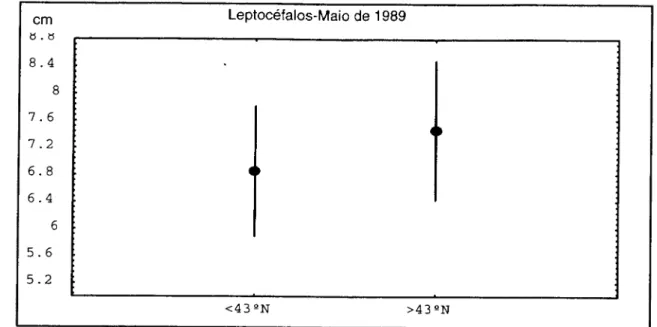 Figura 2.6. Valores do comprimento médio dos leptocéfalos capturados em 1989, a norte e a sul  de 43 ° N