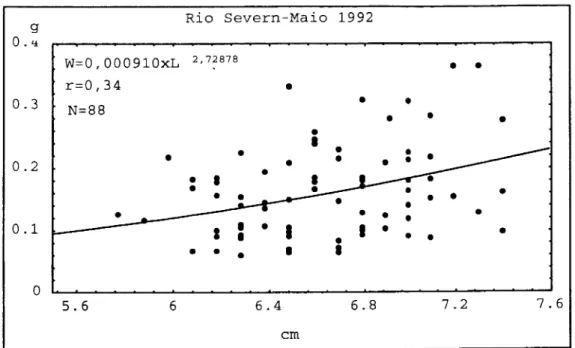 Figura 2.11. Regressão potencial entre o peso (W) e o comprimento (L) das enguias de vidro  capturadas em Maio de 1992, no rio Severn.