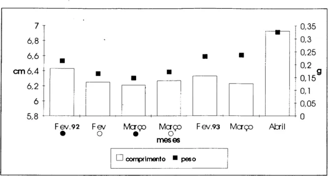 Figura 2.18. Comprimento e peso médio das enguias de vidro capturadas no rio Guadiana em 1992/93