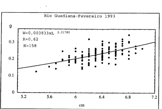 Figura 2.20. Regressão potencial entre o peso (W) e o comprimento (L) das enguias de vidro capturadas no mês de Fevereiro de 1993, no rio Guadiana.