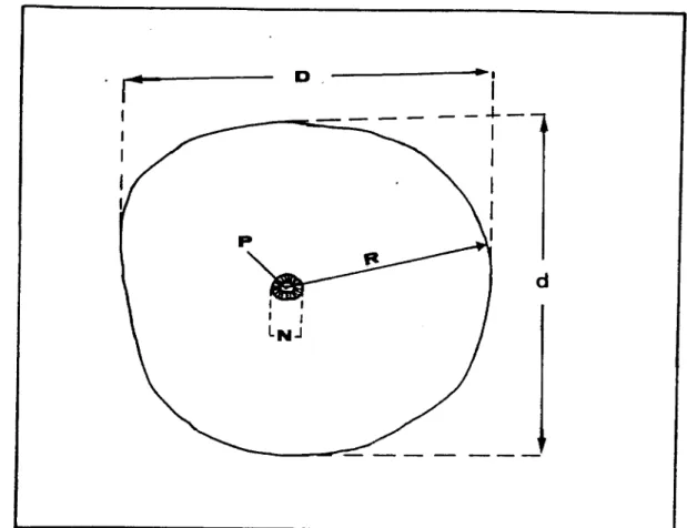 Figura 3.6. Elementos morfométricos analisados nos sagittae. D = diâmetro máximo, d = diâmetro  mínimo, R = raio, N = núcleo, P = primórdio