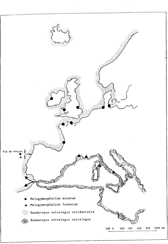 Fig.  1 . 5 - Distribuição na costa europeia e mediterrânica das espécies M. minutus e M