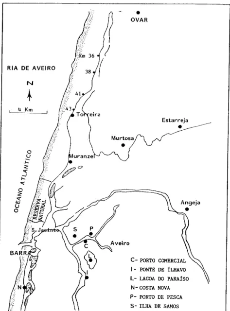 Fig. 2.3 - Locais de colheita de C. glaucum na Ria de Aveiro 