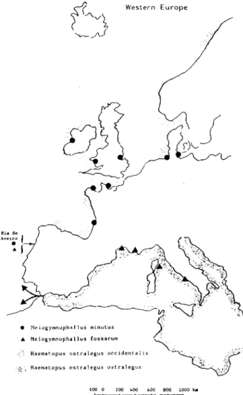 Fig. 1. Map showing the previous well-defined delimitation of the  natural infection of Cerastoderma edule and C