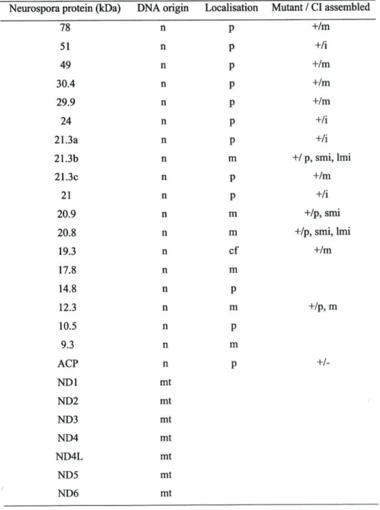 Table 1. Characteristics of subunits of complex I from Neurospora. i, intact; m, membrane arm; 