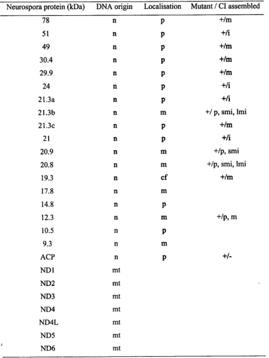 Table 1. Characteristics of subunits of complex I from Neurospora. i, intact; m, membrane arm; 