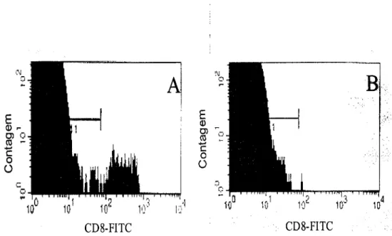 Figura  4 . 1 . - Expressão de células CD8+ no sangue periférico de ratinhos B6 (A) e p2m -/- (B)