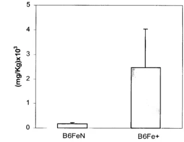 Figura 3.4,- Concentração de ferro (mg/Kg) no fígado de ratinhos B6 com sobrecarga  parentérica de ferro (B6FeN+) e respectivos controlos (B6FeN)