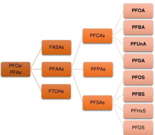 Figure 3 - Some examples of Perfluorinated compounds. In bold are the Perfluoroalkyls acids  selected for the present work