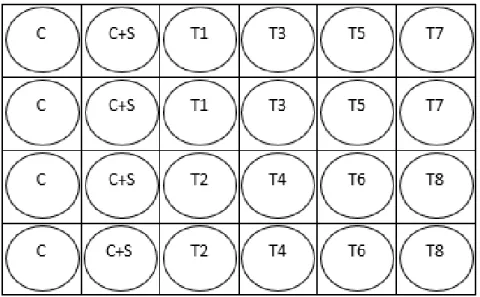 Figure 12 - Experimental design for sea urchin bioassay. C – Control; C+S  – Solvent Control; T – Treatment