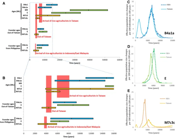 Fig. 5    Phylogeographic patterns in haplogroups M7c3c, E and  B4a1a1. a ML ages of key clades in the test for an “out-of-Taiwan” 