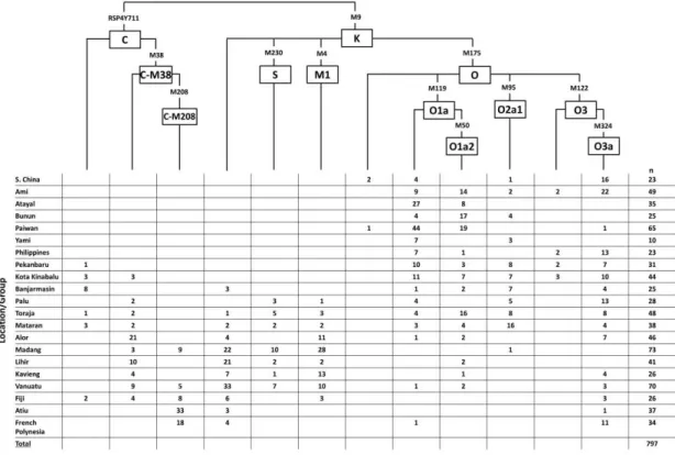 Figure S1. Y-chromosome tree of the SNPs analysed. The embedded table indicates the  distribution of the haplogroups across the sampled area