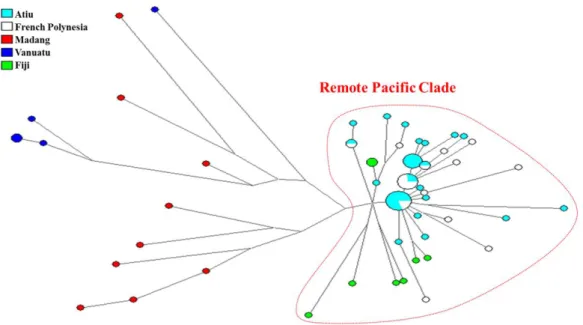 Figure S3. STR network of haplogroup C-M208, indicating  the subclade that is exclusive to the  Remote Pacific 