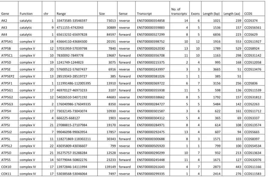 Table S1- The 104 nuclear genes encoding mitochondrial proteins, their function, location in the genome and information on the transcript used