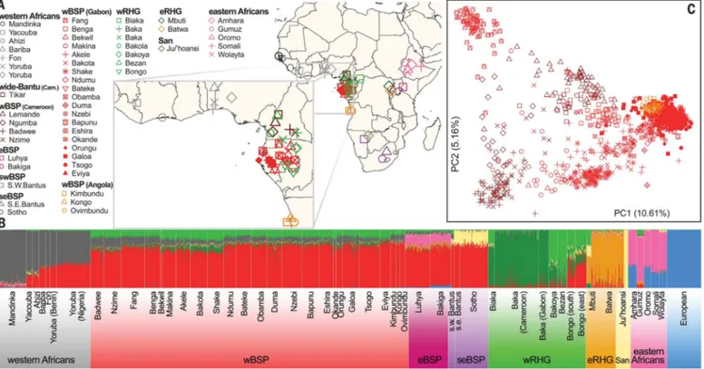 Fig. 1. Genetic structure of African populations. (A) Geographic locations of sampled populations