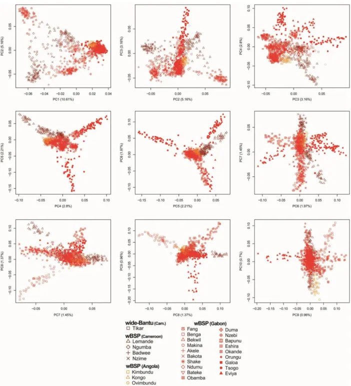 Fig.  S7.  High-resolution  genetic  structure  of  western  central  Bantu-speaking  populations,  obtained  by  haplotype-based Principal Component Analysis (PCA)