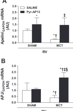 Fig. 1. Cardiomyocyte diameter (A) and myocardial fibrosis (percentage; B) in sham and moncrotaline (MCT) animals treated with saline or apelin  [pyroglu-tamylated apelin-13 (Pyr-AP13)]