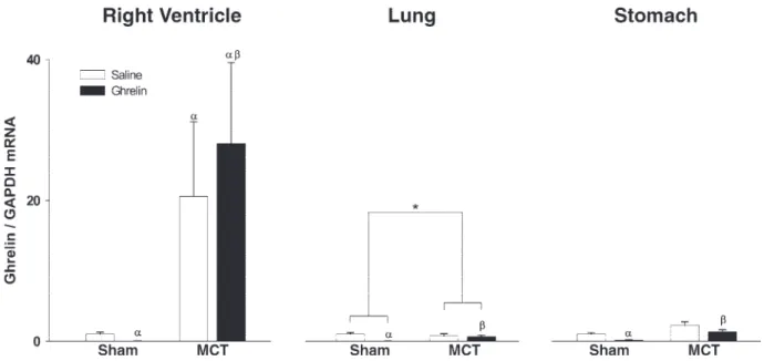Fig. 2. Right ventricular (left), pulmonary (middle), and gastric (right) mRNA Ghr levels expressed in arbitrary units normalized for GAPDH in sham- and MCT-treated animals treated with saline (open bars) or Ghr (solid bars)