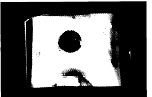 Fig. 12- Bloco de osso com pino metálico, polido e preparado para ser observado  através de microscopia electrónica de varrimento