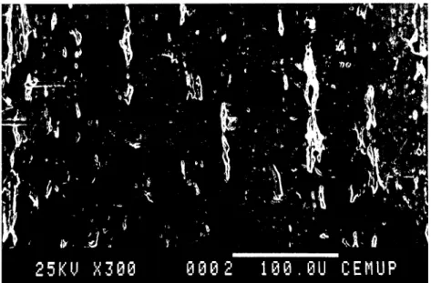 Fig. 15 -  Morfologia superficial de um pino de aço inox 316L, preparado através de  um processo de maquinagem