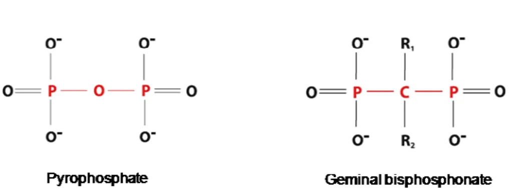 Figure 1 - Chemical structure of pyrophosphate and bisphosphonates (1). 
