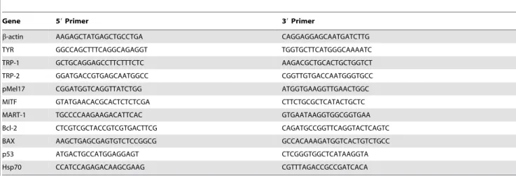 Figure 1A shows the results of the MTT assay. In control cultures, kept at 37 u C, cell viability/proliferation increased gradually with the culture time, especially during the first week;