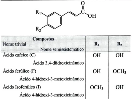 Tabela 1 - Nomes triviais e semissistemáticos de ácidos trans- trans-cinâmicos. 