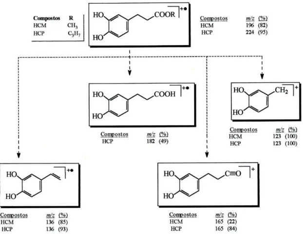 Fig. 9 - Esquema interpretativo de alguns dos fragmentos de massa  dos compostos HCM e HCP.