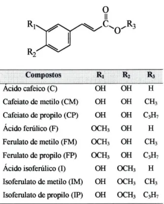 Fig. 5a - Estruturas químicas dos ácidos cafeico, ferúlico e isoferúlico,  e respectivos ésteres metílicos e propílicos