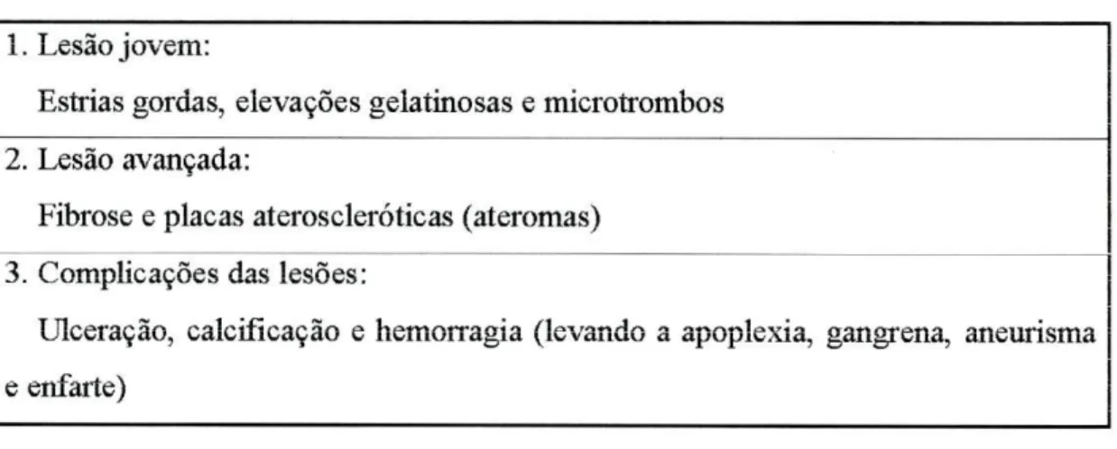 Tabela 1 - As fases da aterosclerose  1. Lesão jovem: 