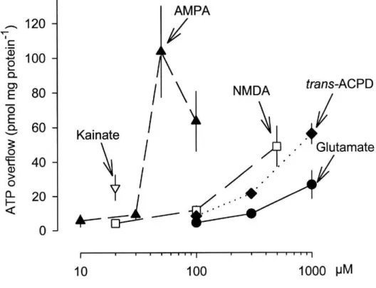 Figure 1. ATP release evoked by glutamate receptor agonists from superfused primary cultures of astrocytes: concentration response curves