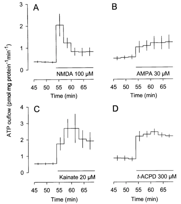 Figure 3. Time-course of the effect of glutamate receptor type-selective agonists on the  outflow of ATP from superfused astrocytes