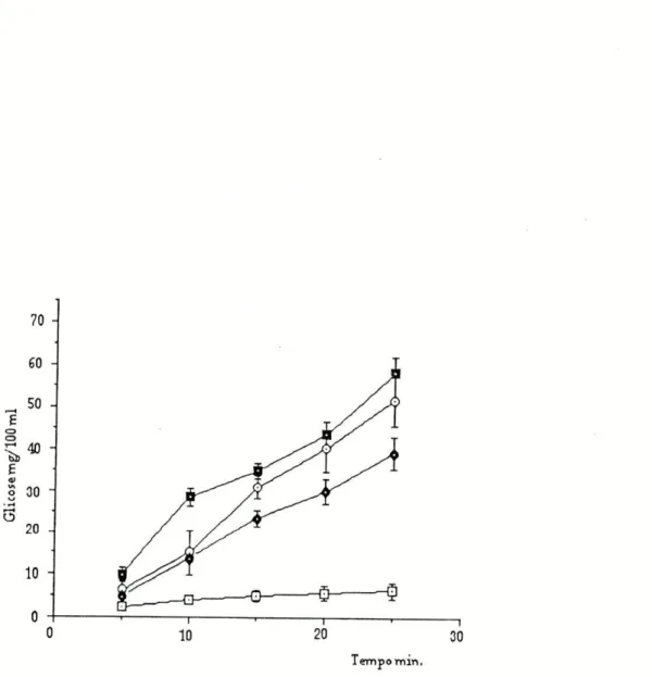 Figura 6: Curva de glicemia após infusão de soro fisiológico (controlo) (□—Q ) e de isoprenalina (0,36 nmol/kg/min.), na ausência ( O—O ) e na presença de U-0521 ( D—B ) ou de hidrocortisona ( G—O )•