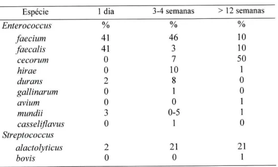 Tabela 8. Percentagem de isolados de Enterococcus sp. e de Streptococcus sp. em frangos  com diferentes idades ( Devriese, L.A., et ai, 1991)