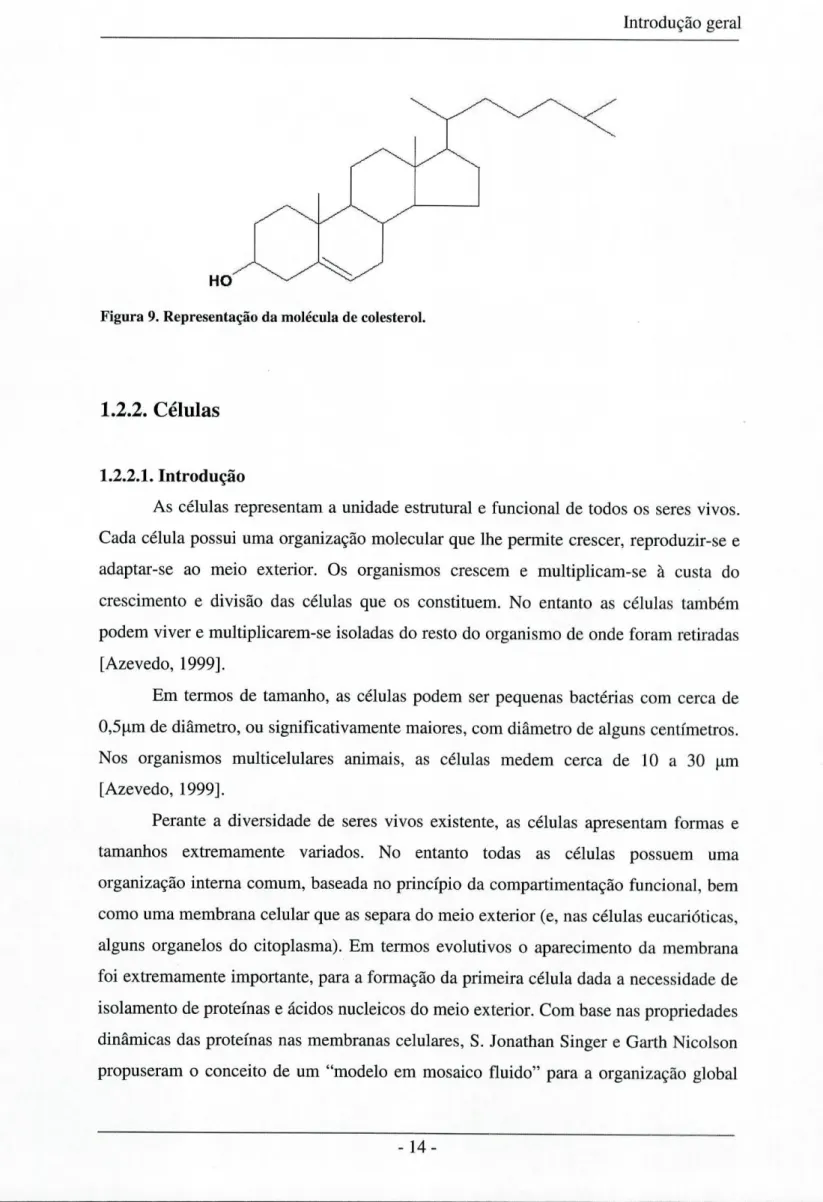 Figura 9. Representação da molécula de colesterol. 