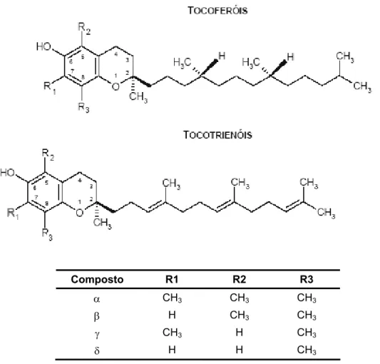 Figura 4 – Estruturas moleculares dos tocoferóis e dos tocotrienóis existentes na natureza 