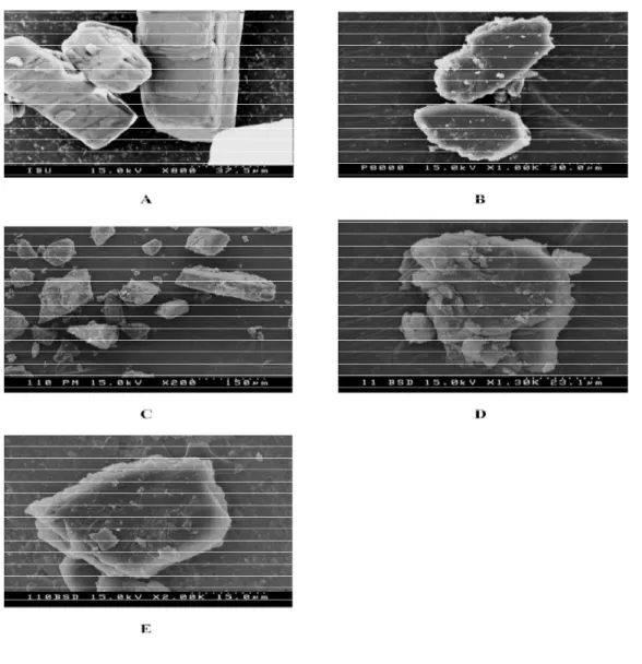 Figura 2 – Comparação por microscopia electrónica de varrimento do aspecto das misturas físicas e  dispersões sólidas [8]