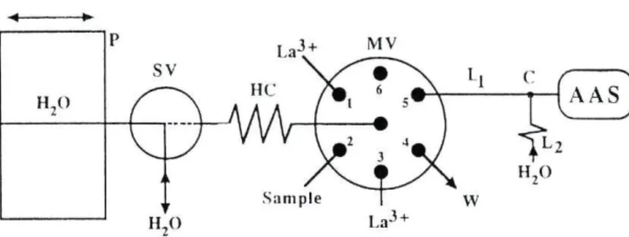 Fig. I. Sequential injection manifold used. P- bidirectional peristaltic pump: SV solenoid valve: HC- holding coil (200 cm length